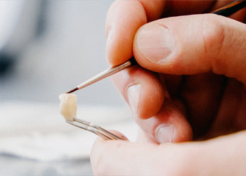 MEISTERLABOR